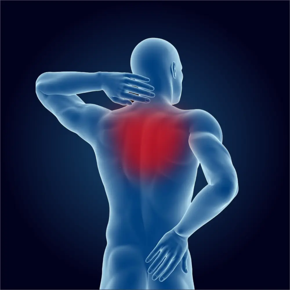 upper-back-pain-vertecare-spine